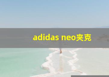 adidas neo夹克